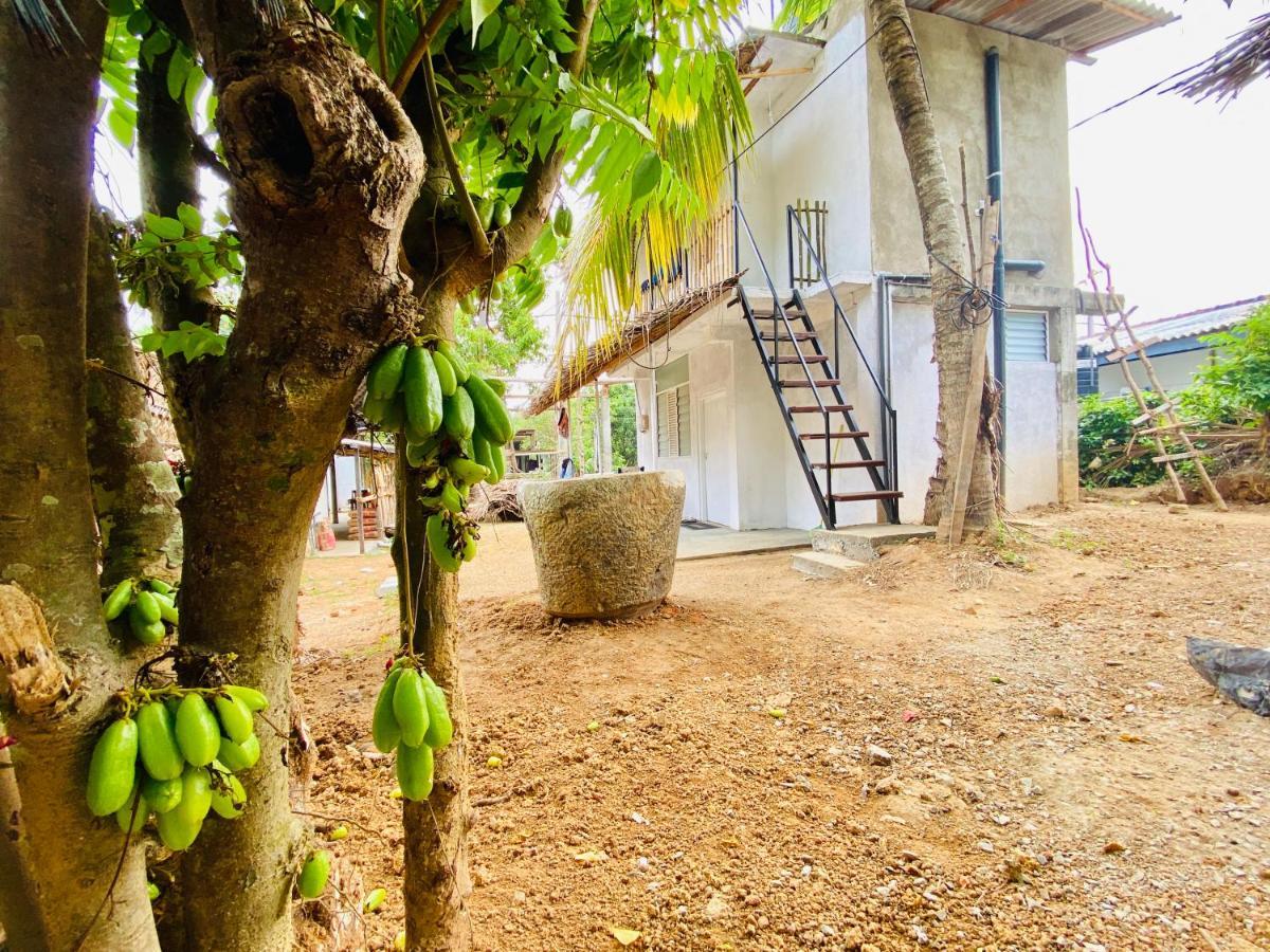 Hiriketiya Orchid Villa Dikwella Exteriör bild